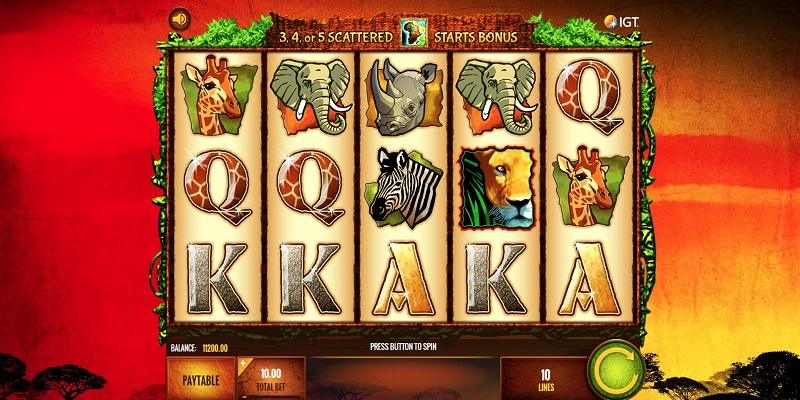 The Wild Life Slot Review